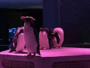 AOAO SAPPOROに投稿された画像（2025/7/23）