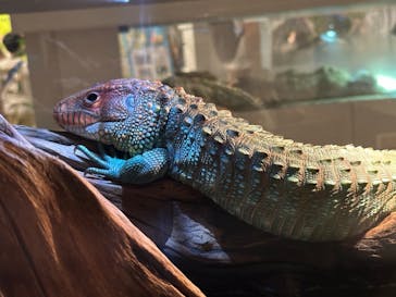 AOAO SAPPOROに投稿された画像（2025/7/23）