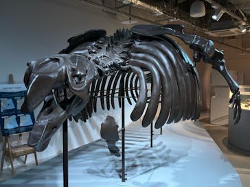 AOAO SAPPOROに投稿された画像（2025/7/23）