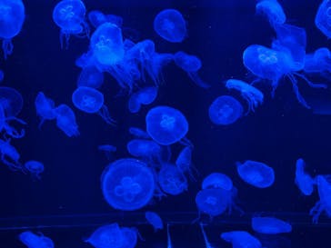 AOAO SAPPOROに投稿された画像（2025/7/23）