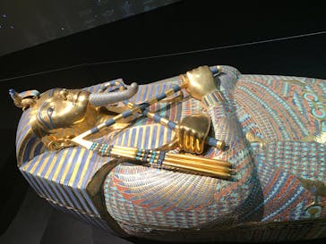 MYSTERY OF TUTANKHAMEN 体感型古代エジプト展に投稿された画像（2025/7/23）
