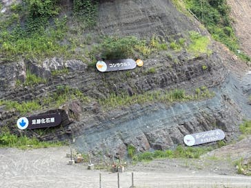 福井県立恐竜博物館に投稿された画像（2025/7/23）
