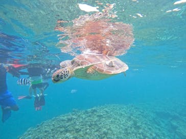  マリンショップHAPPYに投稿された画像（2025/7/23）