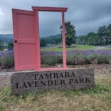 たんばらラベンダーパークに投稿された画像（2025/7/23）