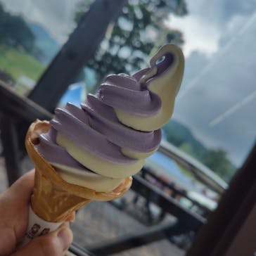 たんばらラベンダーパークに投稿された画像（2025/7/23）