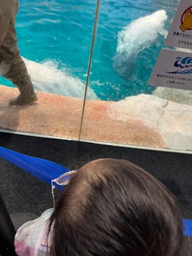 名古屋港水族館に投稿された画像（2025/7/23）