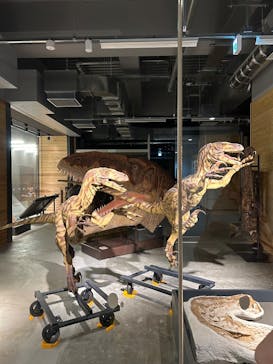 福井県立恐竜博物館に投稿された画像（2025/7/23）