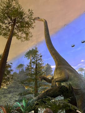 福井県立恐竜博物館に投稿された画像（2025/7/23）