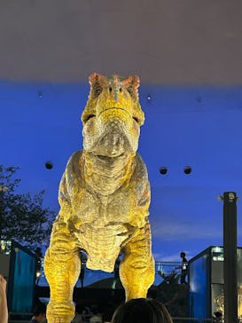 福井県立恐竜博物館に投稿された画像（2025/7/23）
