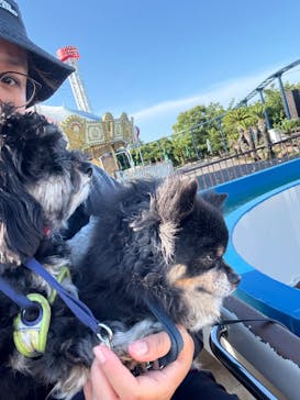 伊豆ぐらんぱる公園に投稿された画像（2025/7/23）