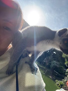 伊豆シャボテン動物公園に投稿された画像（2025/7/23）