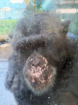 伊豆シャボテン動物公園に投稿された画像（2025/7/23）
