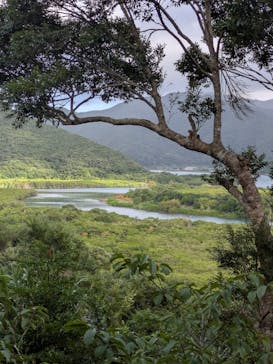 マングローブ茶屋に投稿された画像（2025/7/23）