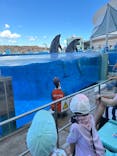 名古屋港水族館に投稿された画像（2025/7/24）
