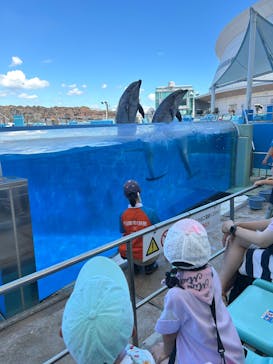 名古屋港水族館に投稿された画像（2025/7/23）
