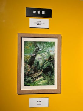 プレバト才能アリ展に投稿された画像（2025/7/24）