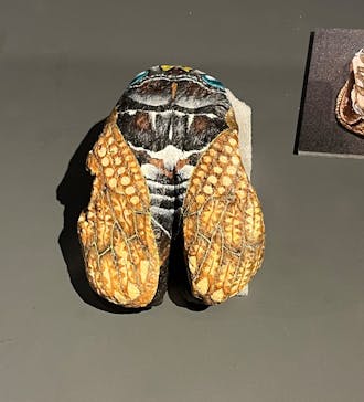 プレバト才能アリ展に投稿された画像（2025/7/24）