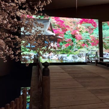 特別展「江戸☆大奥」に投稿された画像（2025/7/24）