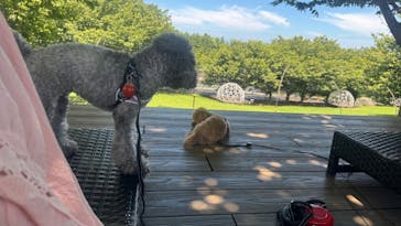 伊豆ぐらんぱる公園に投稿された画像（2025/7/24）