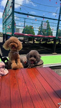 伊豆ぐらんぱる公園に投稿された画像（2025/7/24）