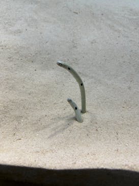 アクアワールド茨城県大洗水族館に投稿された画像（2025/7/24）