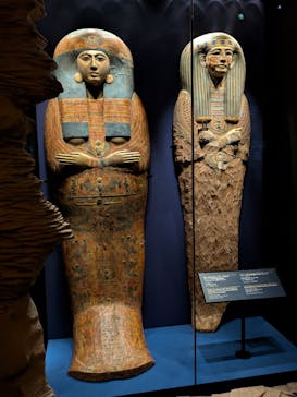 ACN ラムセス大王展 ファラオたちの黄金に投稿された画像（2025/7/24）