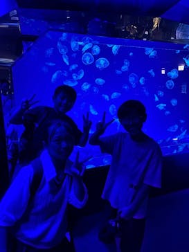 名古屋港水族館に投稿された画像（2025/7/24）