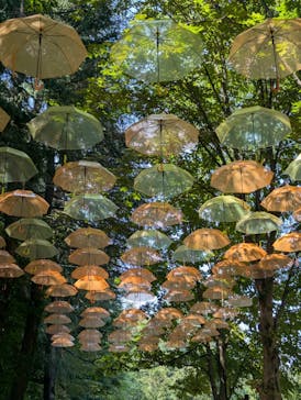 ムーミンバレーパークに投稿された画像（2025/7/24）