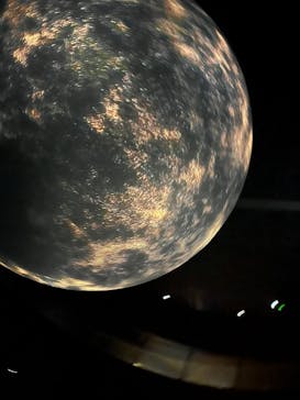 NIFREL（ニフレル）に投稿された画像（2025/7/24）