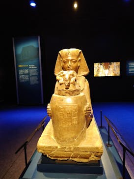 ACN ラムセス大王展 ファラオたちの黄金に投稿された画像（2025/7/24）