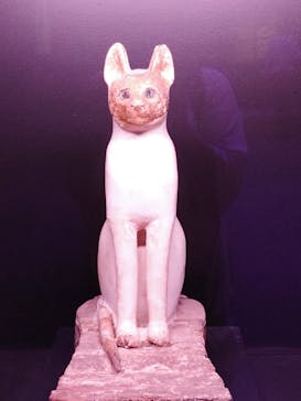 ACN ラムセス大王展 ファラオたちの黄金に投稿された画像（2025/7/24）