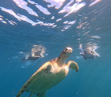  マリンショップHAPPYに投稿された画像（2025/7/24）