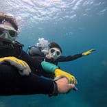 武藤潜水に投稿された画像（2025/7/24）