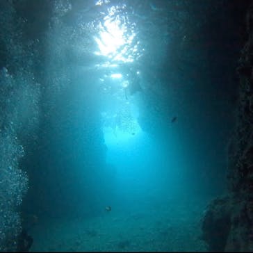 武藤潜水に投稿された画像（2025/7/24）