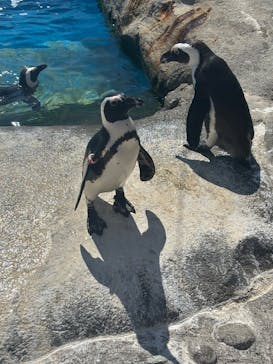 横浜・八景島シーパラダイスに投稿された画像（2025/7/24）