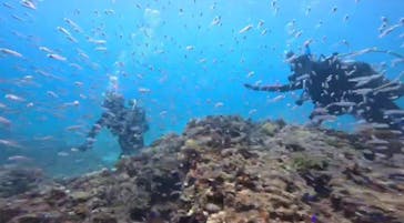 Dragon Lady（ドラゴンレディ）に投稿された画像（2025/7/24）