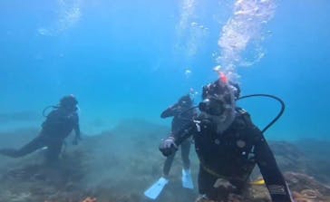 Dragon Lady（ドラゴンレディ）に投稿された画像（2025/7/24）