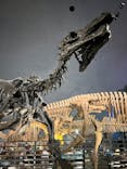 福井県立恐竜博物館に投稿された画像（2025/7/24）