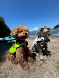 TOMO's スタンドアップパドルボーディングスクールに投稿された画像（2025/7/24）