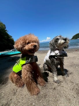 TOMO's スタンドアップパドルボーディングスクールに投稿された画像（2025/7/24）