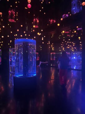 マクセル アクアパーク品川に投稿された画像（2025/7/24）