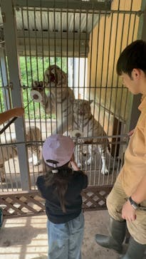 伊豆アニマルキングダムに投稿された画像（2025/7/24）