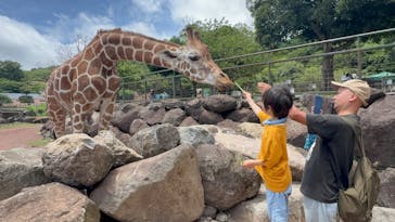 伊豆アニマルキングダムに投稿された画像（2025/7/24）