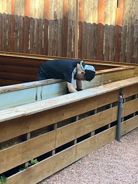 ストーンハンター伊勢志摩に投稿された画像（2025/7/24）