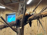 伊豆シャボテン動物公園に投稿された画像（2025/7/24）