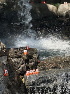 勝尾寺に投稿された画像（2025/7/24）