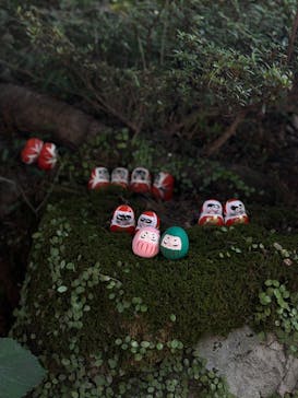 勝尾寺に投稿された画像（2025/7/24）