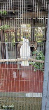 天王寺動物園に投稿された画像（2025/7/24）