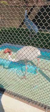 天王寺動物園に投稿された画像（2025/7/24）