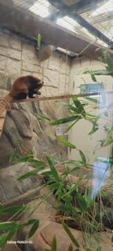 天王寺動物園に投稿された画像（2025/7/24）